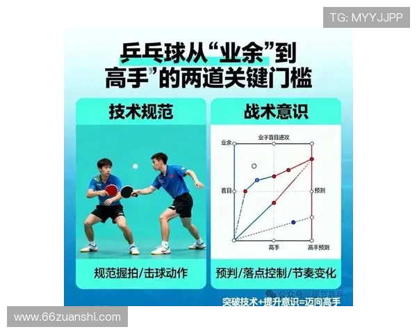 乒乓球比赛名称大全：从业余到职业的精彩赛事解析