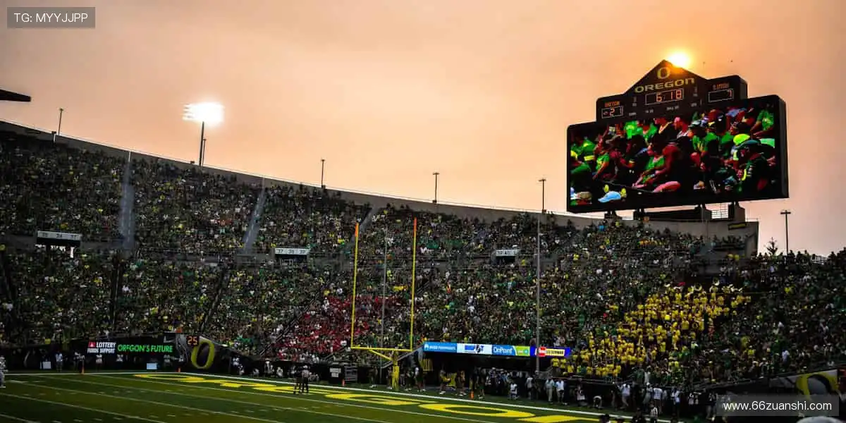 零时差直击赛场，沉浸式体验每一次心跳！📺⚽️